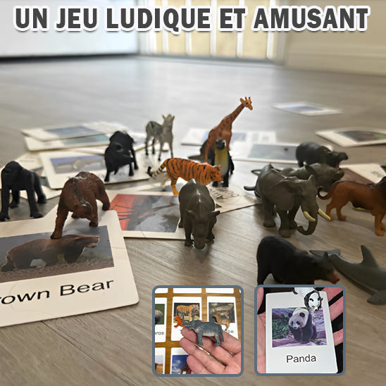 Carte apprentissage animaux pour enfant